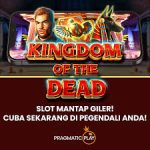 rtp slot mei